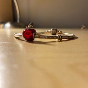 Pandora Silver Bracelet with charm